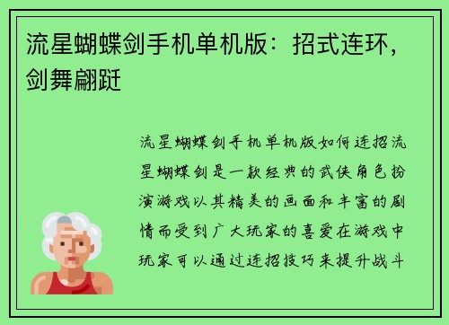 流星蝴蝶剑手机单机版：招式连环，剑舞翩跹